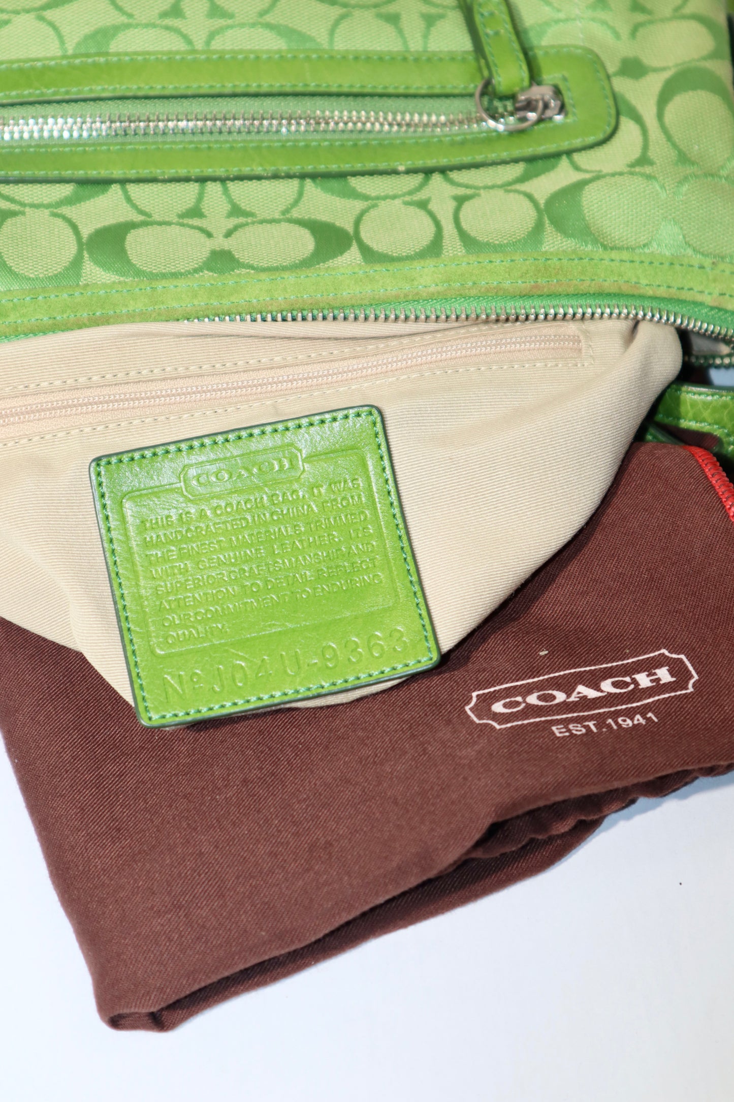 Coach Y2K East West Demi Shoulder Bag in Green