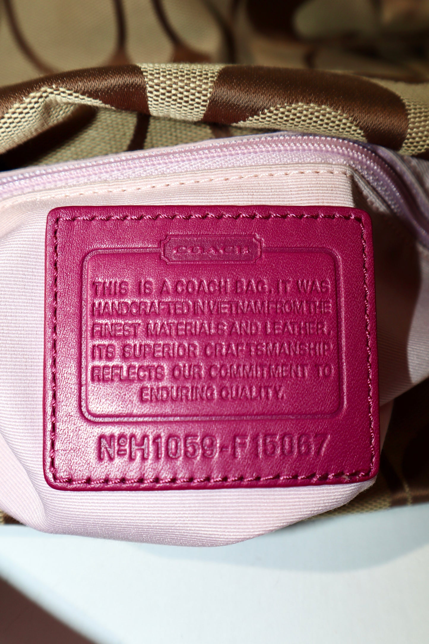 Coach Signature Canvas Crossbody Bag in Purple (Large)