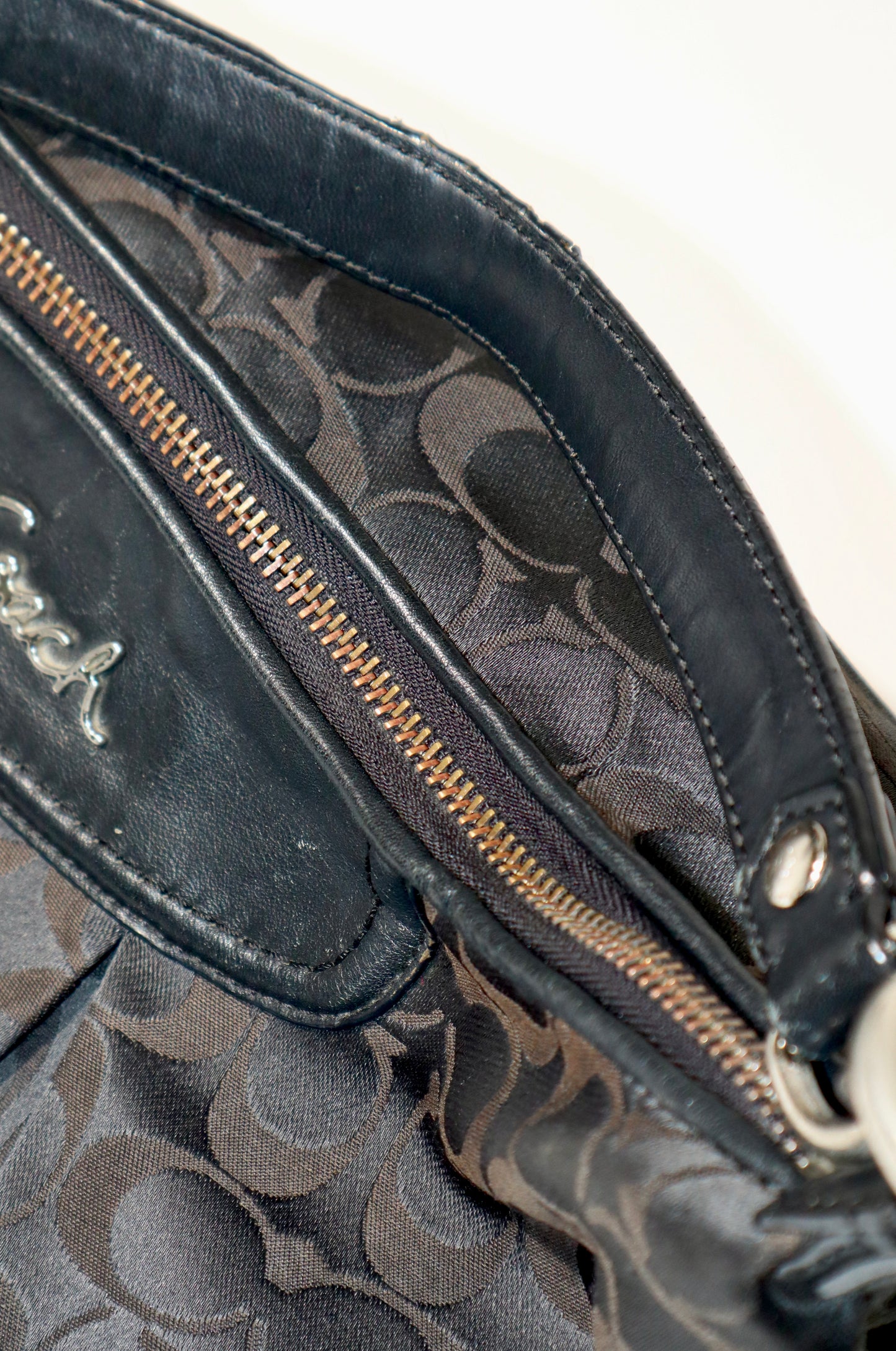 Coach Ashley Signature Convertible Hobo Bag (F19766)