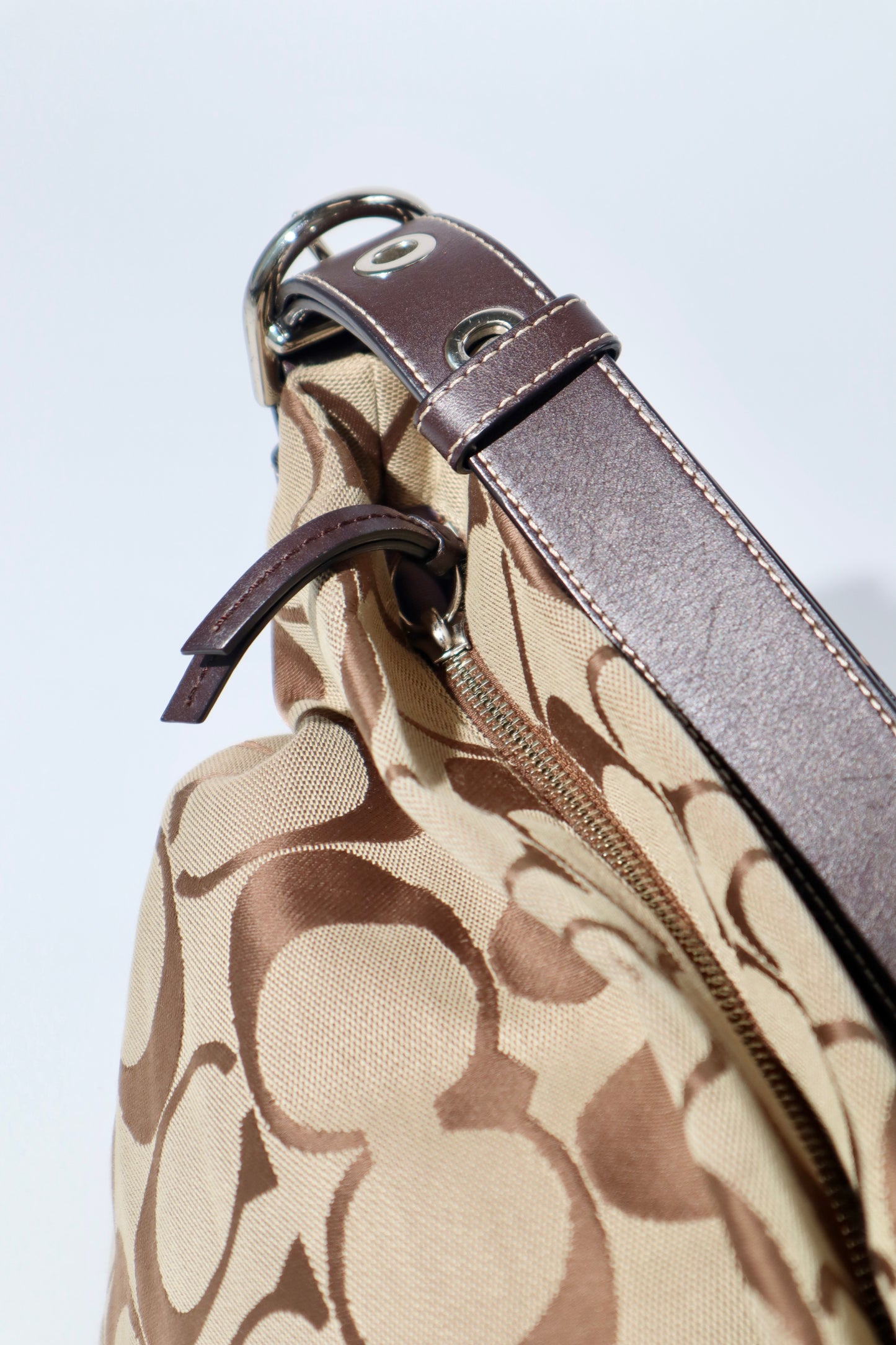 Coach Signature Canvas Large Crossbody Bag in Brown (F15067)