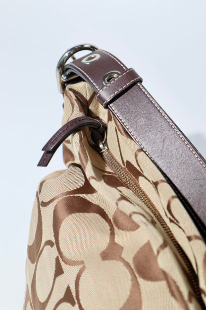 Coach Signature Canvas Large Crossbody Bag in Brown (F15067)