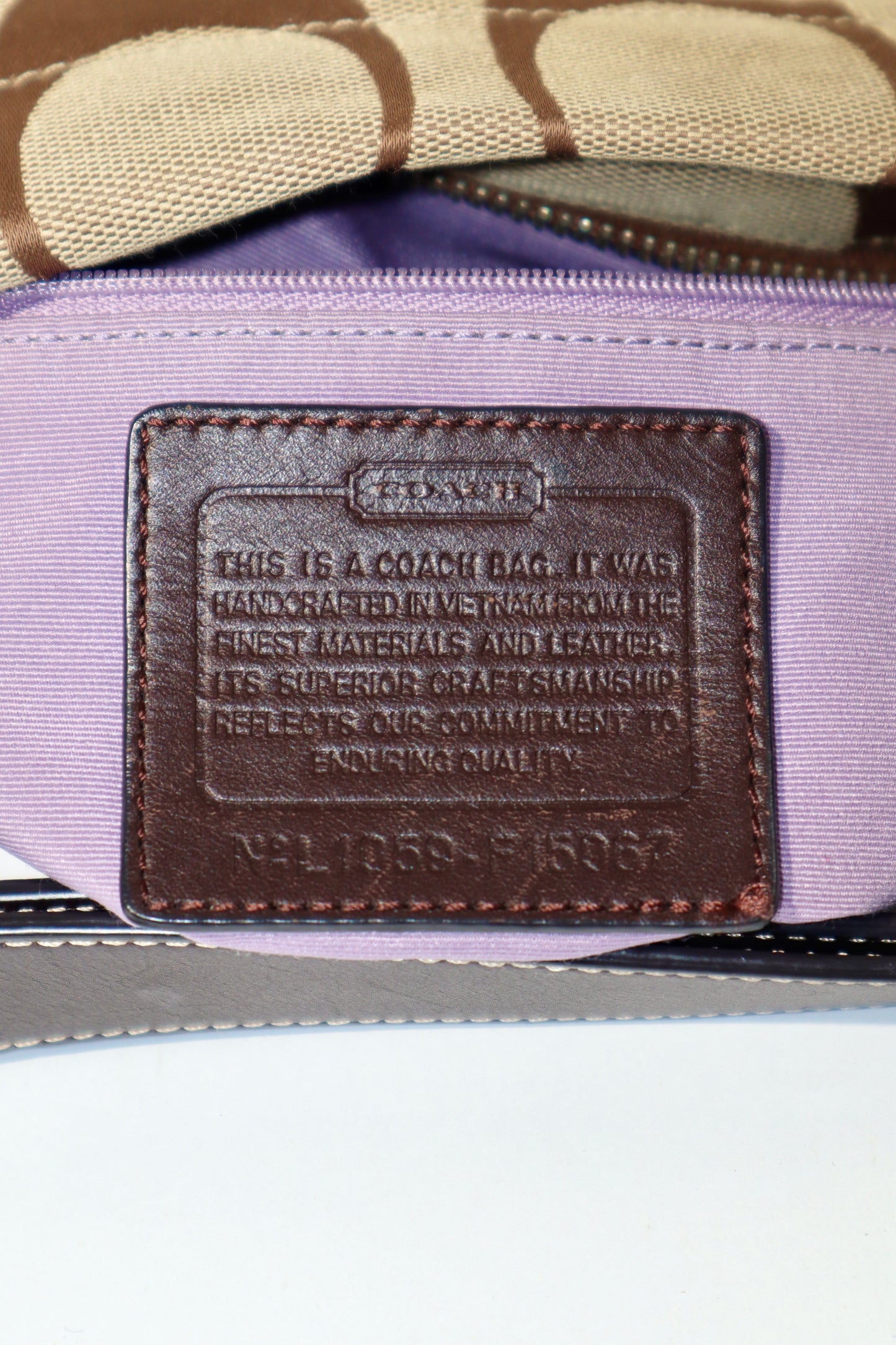 Coach Signature Canvas Large Crossbody Bag in Brown (F15067)