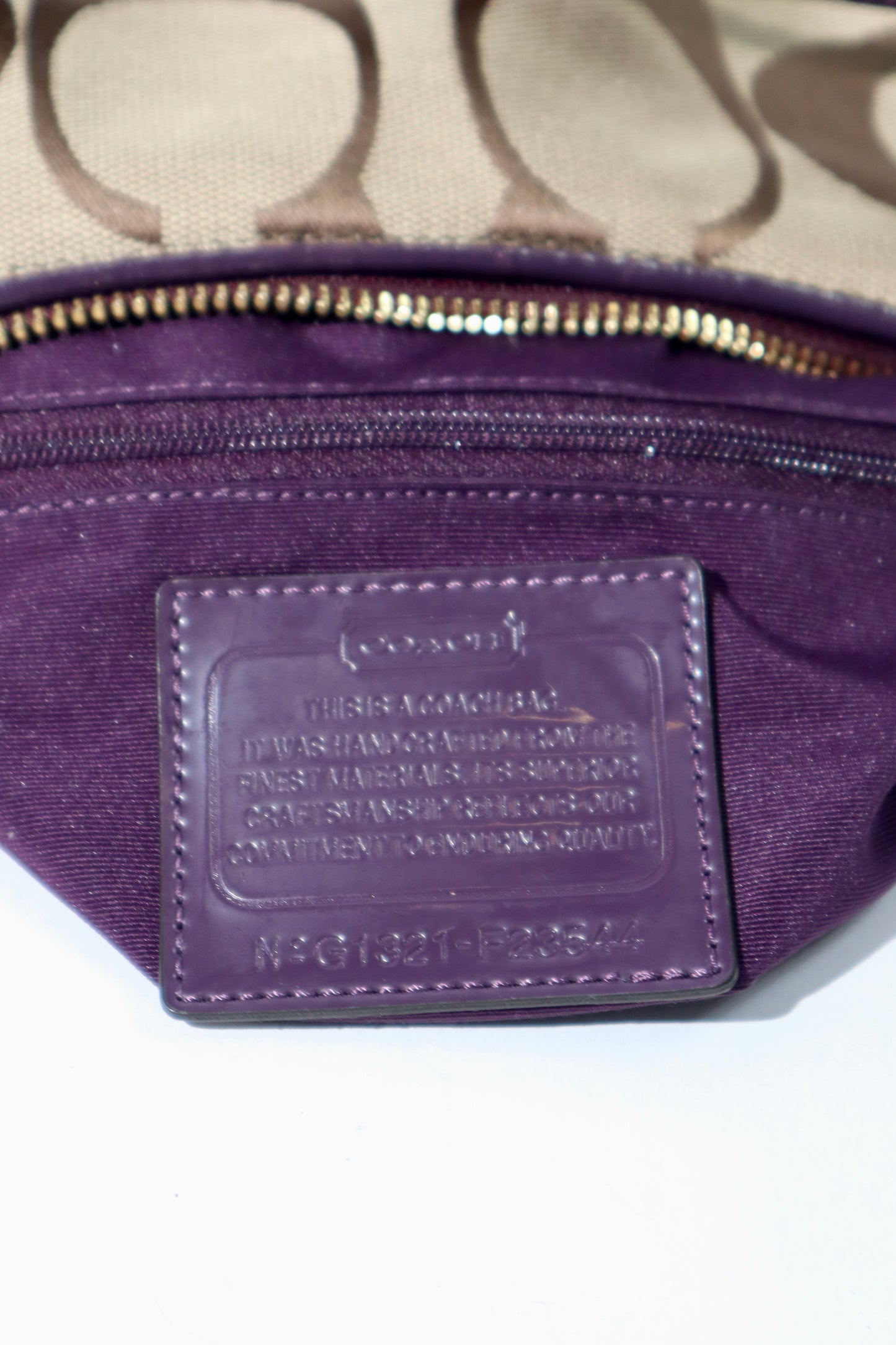Coach 2 Way Bag in Purple (style F23544)